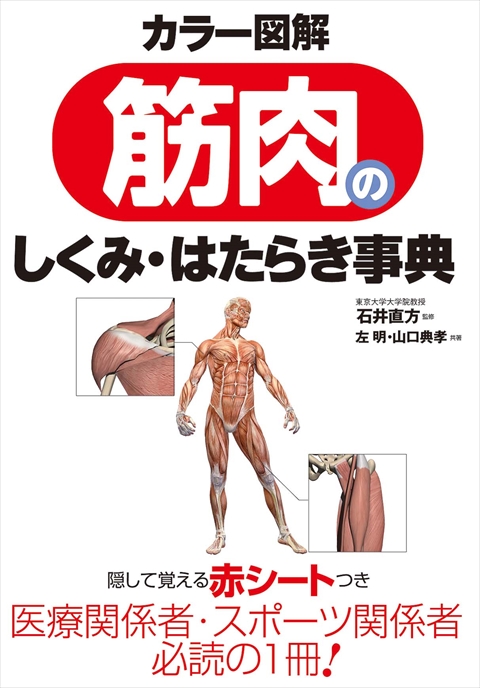 カラー図解　筋肉のしくみ・はたらき事典