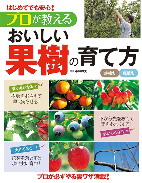 失敗しない果樹の育て方｜西東社｜『人生を楽しみ・今を楽しむ』実用書を作り続けていく