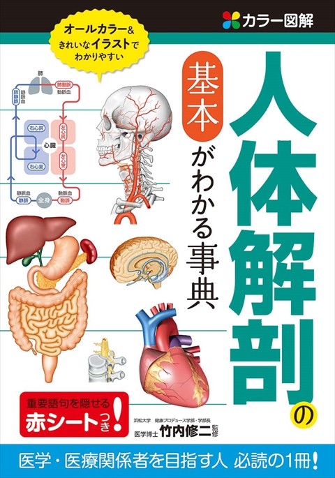 カラー図解　人体解剖の基本がわかる事典