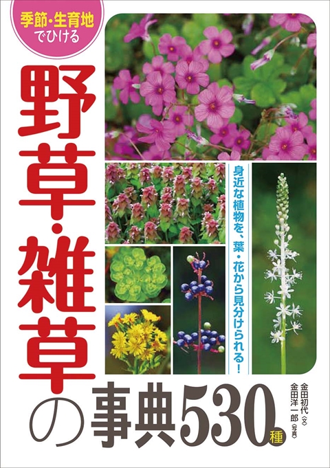 季節・生育地でひける　野草・雑草の事典530種