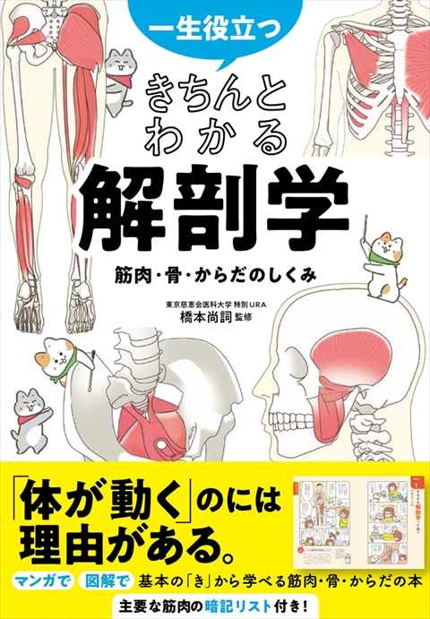 一生役立つ   きちんとわかる解剖学 筋肉・骨・からだのしくみ